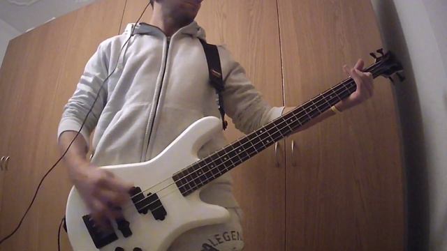 💀 Dig Up Her Bones 💀 Misfits Bass Cover 💀 смотреть онлайн
