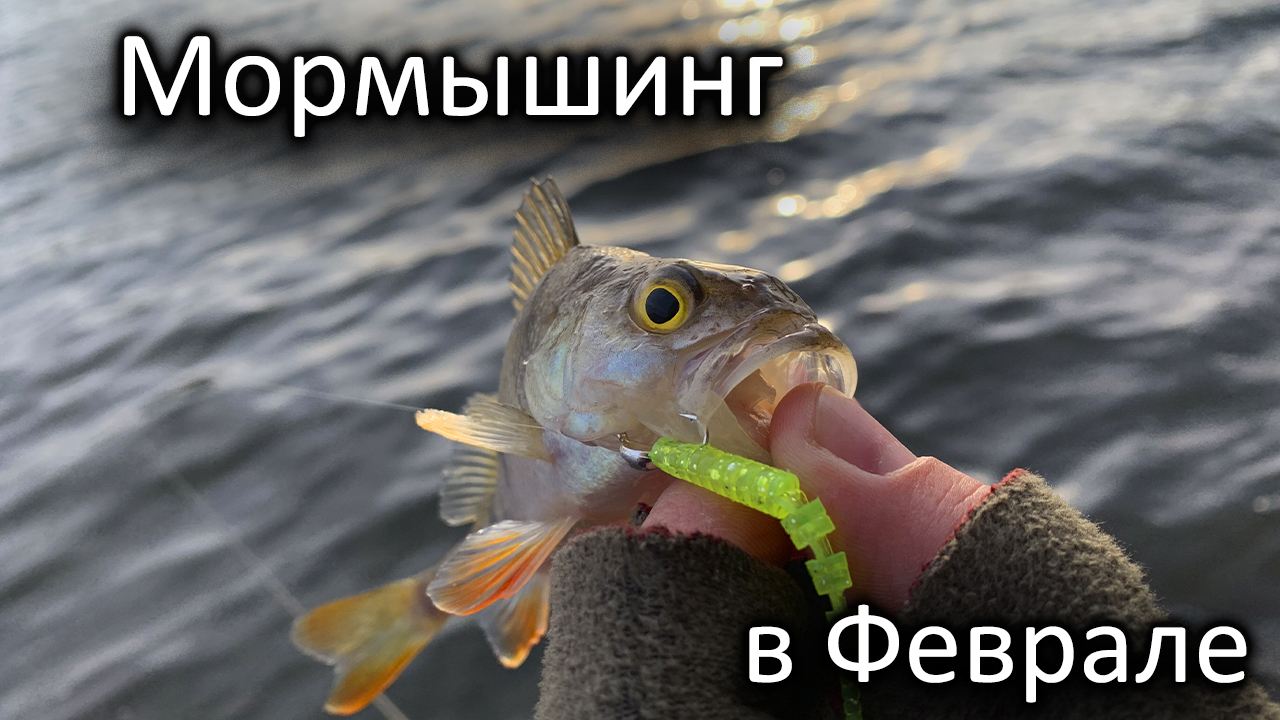 ПЕРВЫЙ ОПЫТ МОРМЫШИНГА ЗИМОЙ! ЖОР ОКУНЯ Рыбалка в феврале на Москва - реке смотреть онлайн