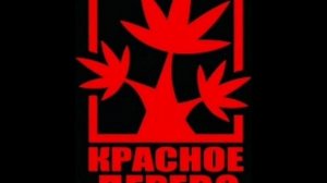 Красное Дерево - Сынок при участии Михалыч