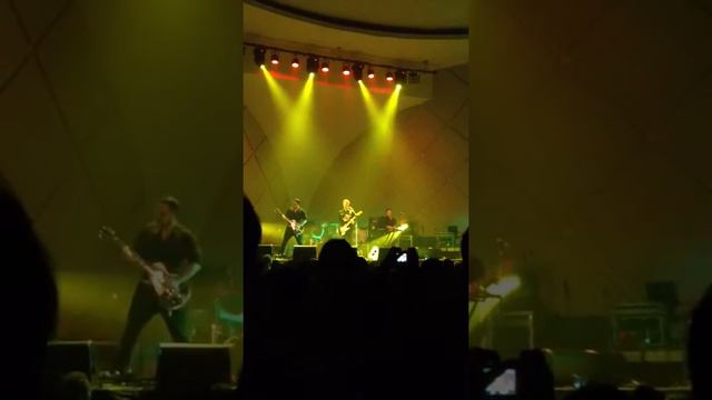 Summertime is coming - Paul Banks смотреть онлайн
