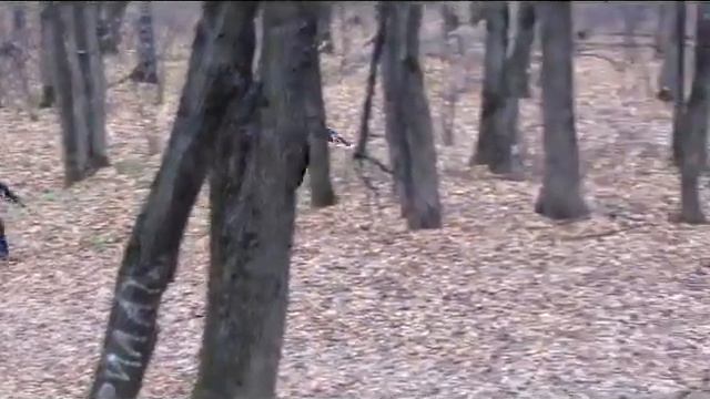 Первое видео о лазертаг в клубе ЛазерСпорт смотреть онлайн