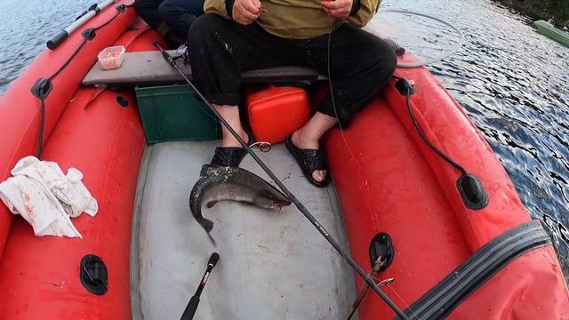 Морская рыбалка