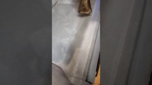 Пытаемся восстановить родной цвет на торпедо ГАЗ ГАЗель/Соболь строительным феном.