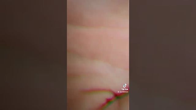 Первое обесцвечивание волос в технике Контуринг ??? смотреть онлайн