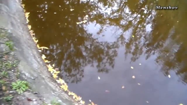 Озеро для отдыха. Наднепрянское, Херсон смотреть онлайн