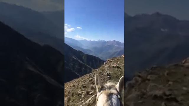 Село 2021год смотреть онлайн