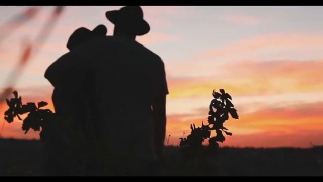 День, такой, что лови на плёнку... | Автор стихотворения: Дикон Шерола смотреть онлайн