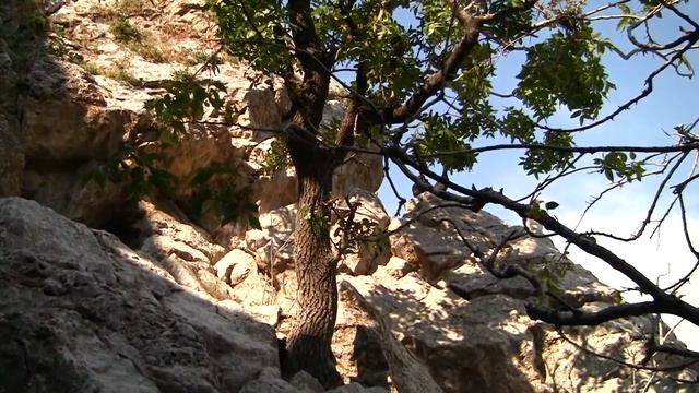 Морская прогулка на Адалары. Гурзуф