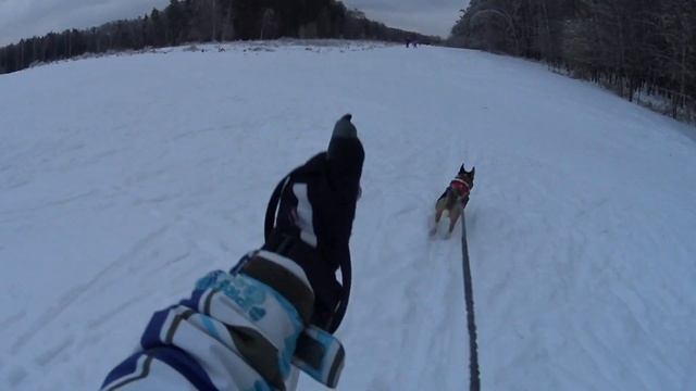 Лыжню! Уступите парню лыжню скорей!