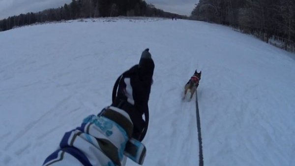 Лыжню! Уступите парню лыжню скорей!