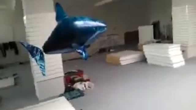 Видео с телефона смотреть онлайн