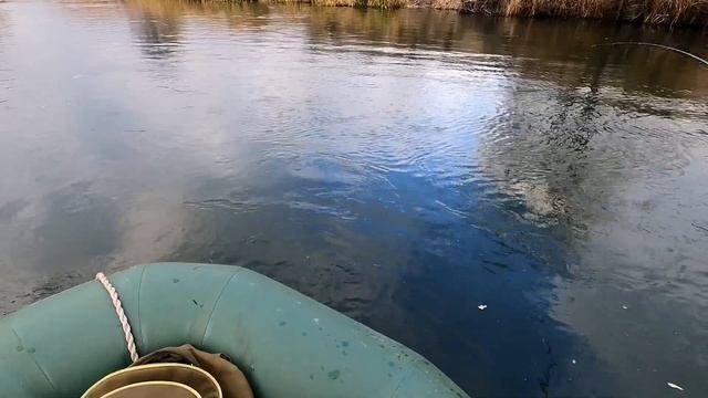 Река Кшень. Осенняя рыбалка... смотреть онлайн