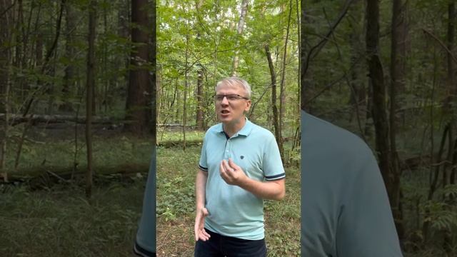 Вашему вниманию : А. С. Пушкин, «Пророк» смотреть онлайн