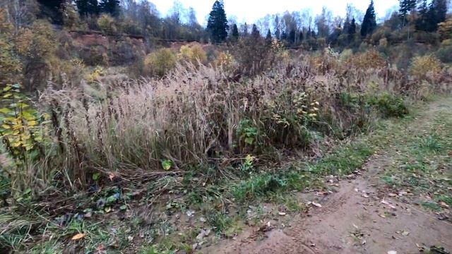 Покатушка до заброшенной 25 школы Сержантов под Тимоново.4 часть. 10 октября 2020 года. смотреть онлайн