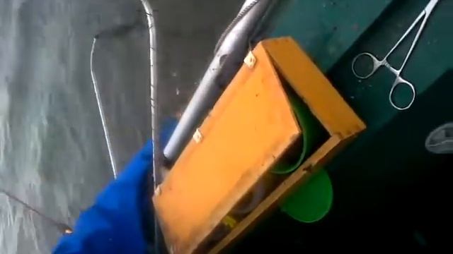 Фидерная рыбалка осенью - От леща не отобьёшься!!! Feeder-fishing - bream not get away!!! смотреть онлайн