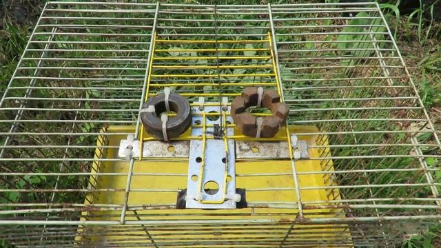 ✅Самодельная ловушка для крыс, мышей, хорьков и т.д смотреть онлайн