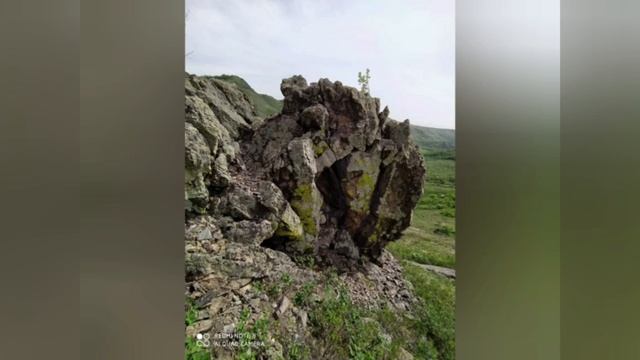 Стимуляция роста поросят, без нарушения гормонального фона смотреть онлайн