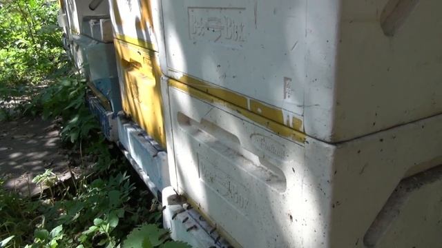 Горбатый расплод. смотреть онлайн