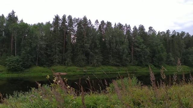 У Луги- реки смотреть онлайн