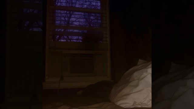 You Never Said Goodbye смотреть онлайн