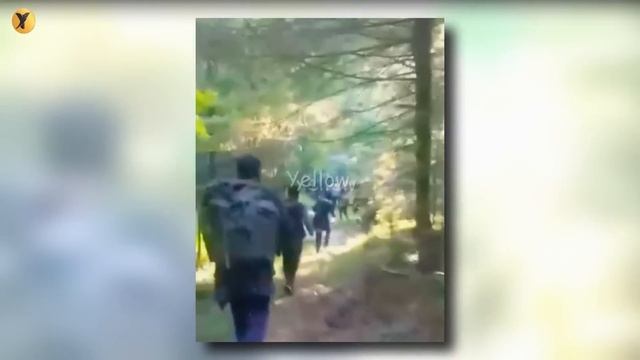 Dunki Laga kar Europe Janay Walay Pakistani | Pakistani Donkey Iran,Turkey, Libya to Italy смотреть онлайн