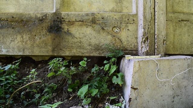 ПХА-ЭД20-ПЭПА-Al-Fe2O3 (61%-16%-2%-20%-1%) 2,8[мм/с] смотреть онлайн