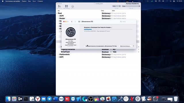 DISCONNECTION SYSTEM INTEGRITY PROTECTION MACOS 11 BIG SUR! HACKINTOSH! смотреть онлайн