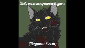 [Коты Воители] - Смерти моих персонажей