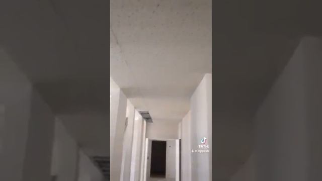 Монтаж гкл акустика в Германии в мой день рождения ? 2 смотреть онлайн