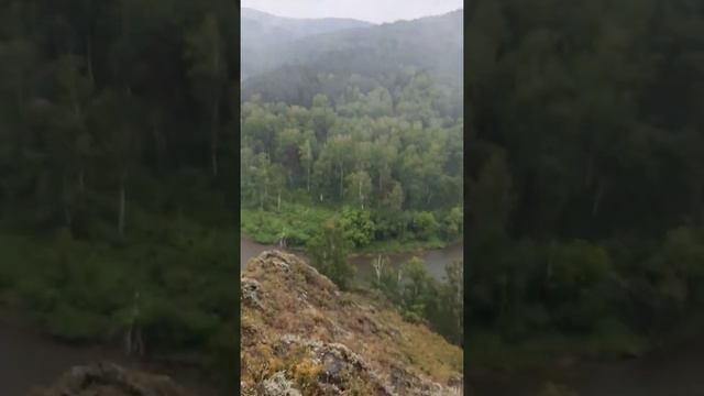 Зверобой легостаево смотреть онлайн