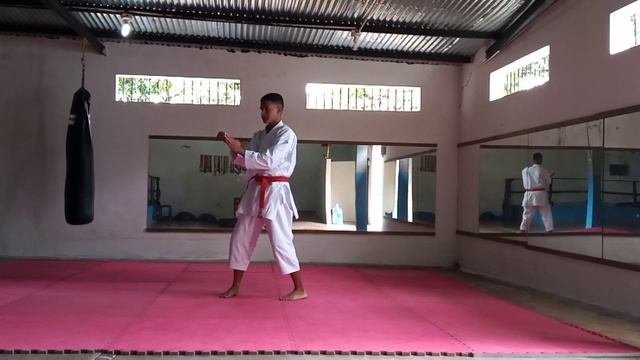 José Peña, Seienchin (3rd ROUND ADIDAS USA KARATE OPEN) смотреть онлайн