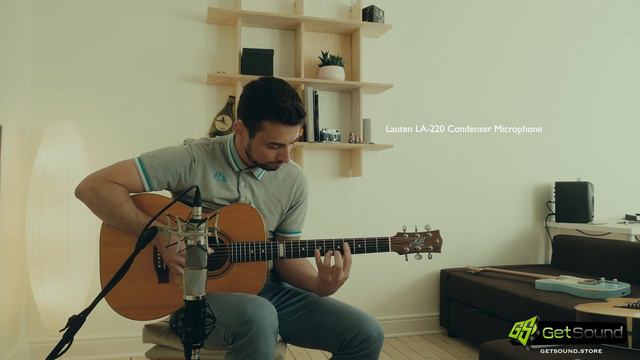 Lauten Audio LA 220 vs Neumann TLM 102 comparison смотреть онлайн