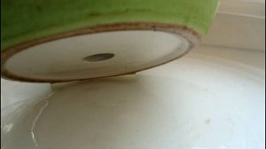 ДЕНЕЖНОЕ ДЕРЕВО. ТОЛСТЯНКА. КРАССУЛА. ДРЕНАЖ. ЧТО ЭТО? ЗАЧЕМ НУЖЕН? КАКОЙ БЫВАЕТ?