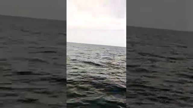 Николаевка рыбалка. смотреть онлайн