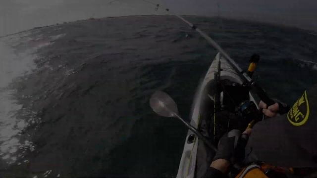 Viking Northland Classic 2019 | New Zealand Kayak Fishing смотреть онлайн