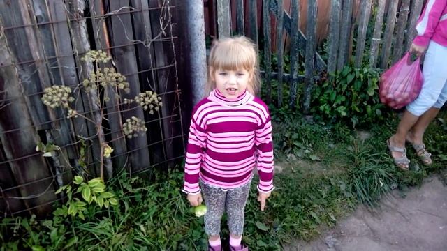 Девочка рассказывает стишок про дачу смотреть онлайн