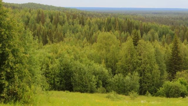 музыка и видео для релаксации природа лето