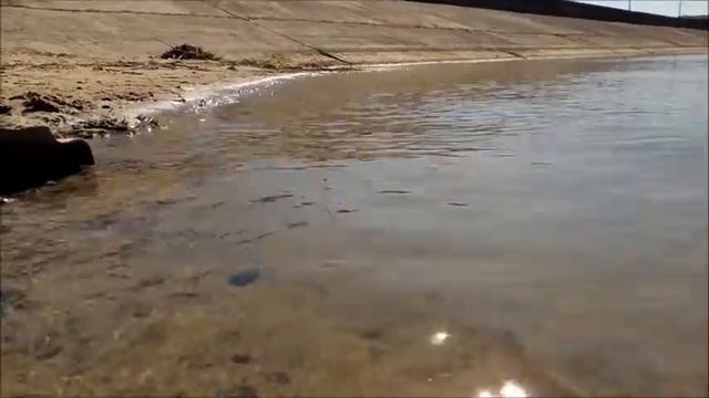 ТРАВЯНСКОЕ ВОДОХРАНИЛИЩЕ. ЛЕТНИЙ ОТДЫХ. ЛЕТО 2018 смотреть онлайн