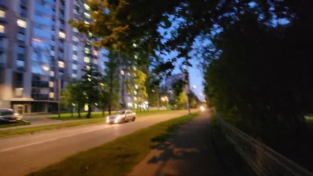 Вегетарианская Кухня