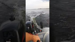 Винт шаг 8 мотор хидея5, сил