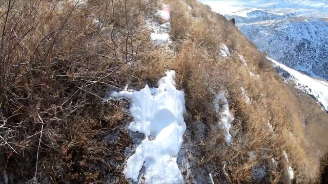 Закрытие сезона охоты. Шашлык из куропатки. Охота на куропатку. Кекилике жакшы анчылык. Кыргызстан. смотреть онлайн