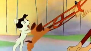 Котёнок по имени Гав 2