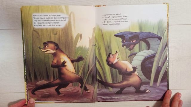 Знакомьтесь, Рикки-Тикки-Тави смотреть онлайн