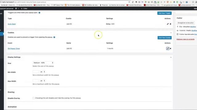 Utiliser Popup Maker avec SG Autorépondeur смотреть онлайн