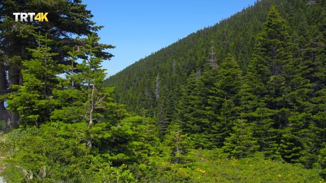 BURSA ULUDAĞ 4K TRT  BELGESEL