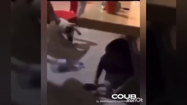 приколы 2022 №12 ночной портной