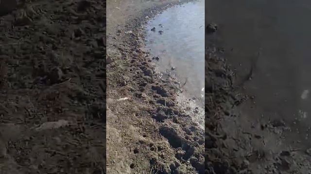 установка мардушак / мотоблок брайт бр-80 смотреть онлайн