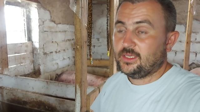 что с хозяйством за три дня отсутствия? смотреть онлайн