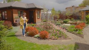 Луковичные I Сад Людмилы Кудасовой