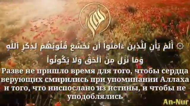 Чтец:Тарик Мухаммад Сура 57 Аль-Хадид (Железо) аяты 15-16 Красивое чтение Кур'ана! смотреть онлайн